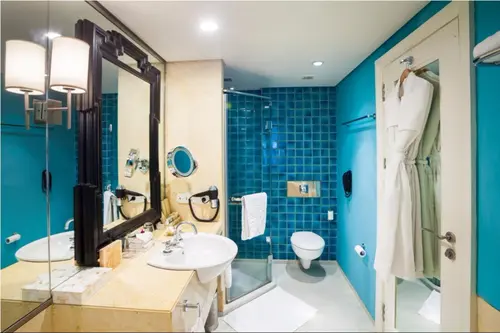 Taj Jai Mahal Palace, Jaipur - Rooms - 301 Sqft 28 Sqmt City View King Bed 11