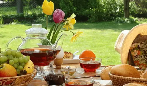 The Oberoi Rajvilas, Jaipur - Overview - Outdoors 7