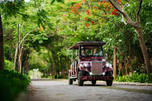 The Westin Pushkar Resort & Spa - Overview - Outdoors 15