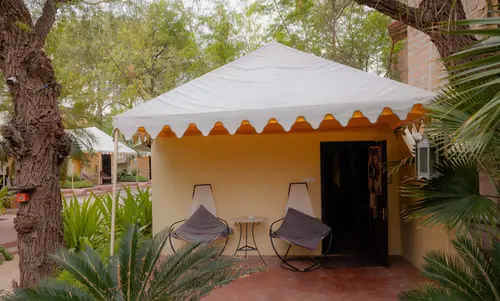 Ajit Bhawan Palace, Jodhpur - Overview - Outdoors 14