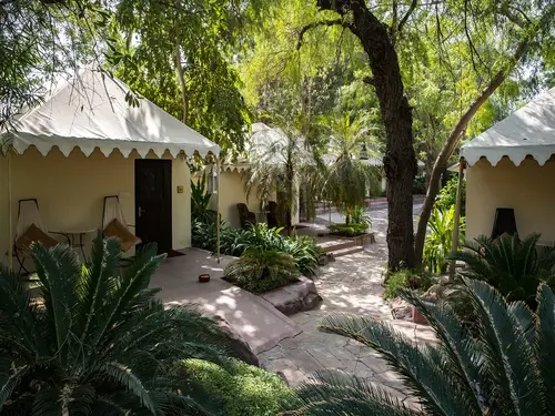 Ajit Bhawan Palace, Jodhpur - Overview - Outdoors 7