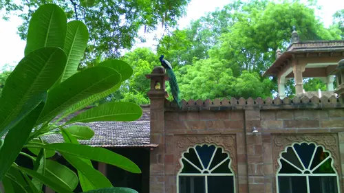 WelcomHeritage Bal Samand Lake Palace - Overview - Outdoors 13