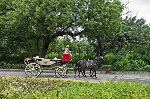 WelcomHeritage Bal Samand Lake Palace - Overview - Outdoors 3