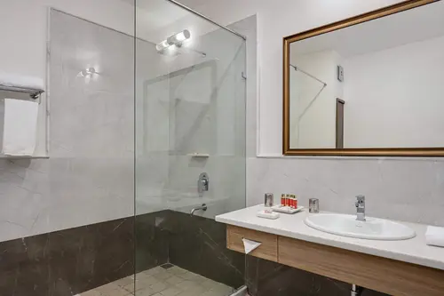 Fateh Vilas, Udaipur - Rooms - Washroom 32