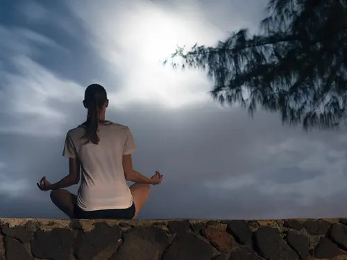 Mementos by ITC Hotels, Shiroha, Udaipur - Overview - Outdoors 4