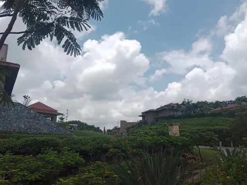 Mementos by ITC Hotels, Shiroha, Udaipur - Overview - Outdoors 8