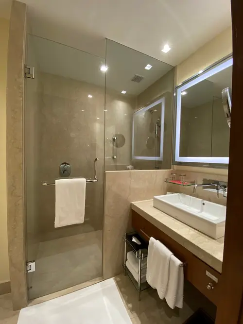 Trident, Udaipur - Rooms - Washroom 10