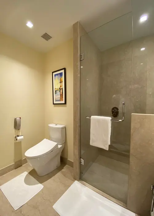 Trident, Udaipur - Rooms - Washroom 11