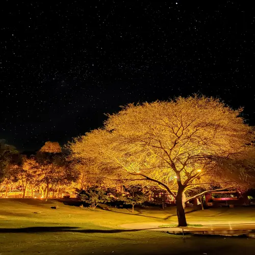 Ananta Udaipur - Overview - Outdoors 20