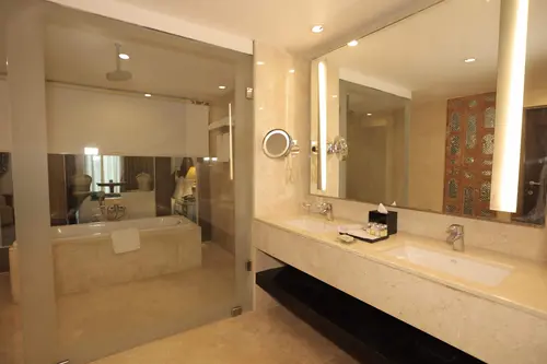 Radisson Blu Palace Resort & Spa, Udaipur - Rooms - Washroom 45
