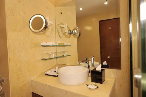 Radisson Blu Palace Resort & Spa, Udaipur - Rooms - Washroom 51