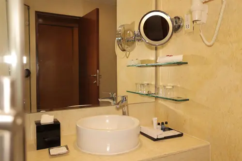 Radisson Blu Palace Resort & Spa, Udaipur - Rooms - Washroom 54