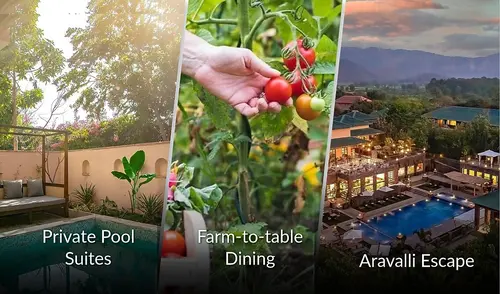 Taj Sawai, Ranthambore - Overview - Facade 18