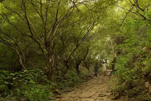 Alila Fort Bishangarh - Overview - Outdoors 10