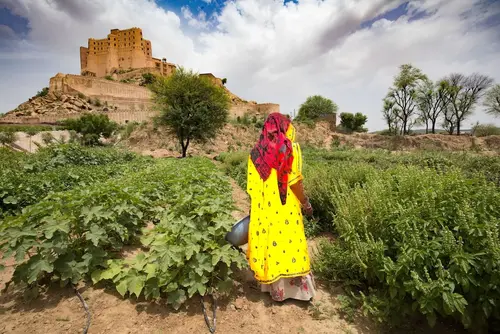 Alila Fort Bishangarh - Overview - Outdoors 28